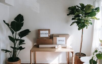Removals Tips – Packing